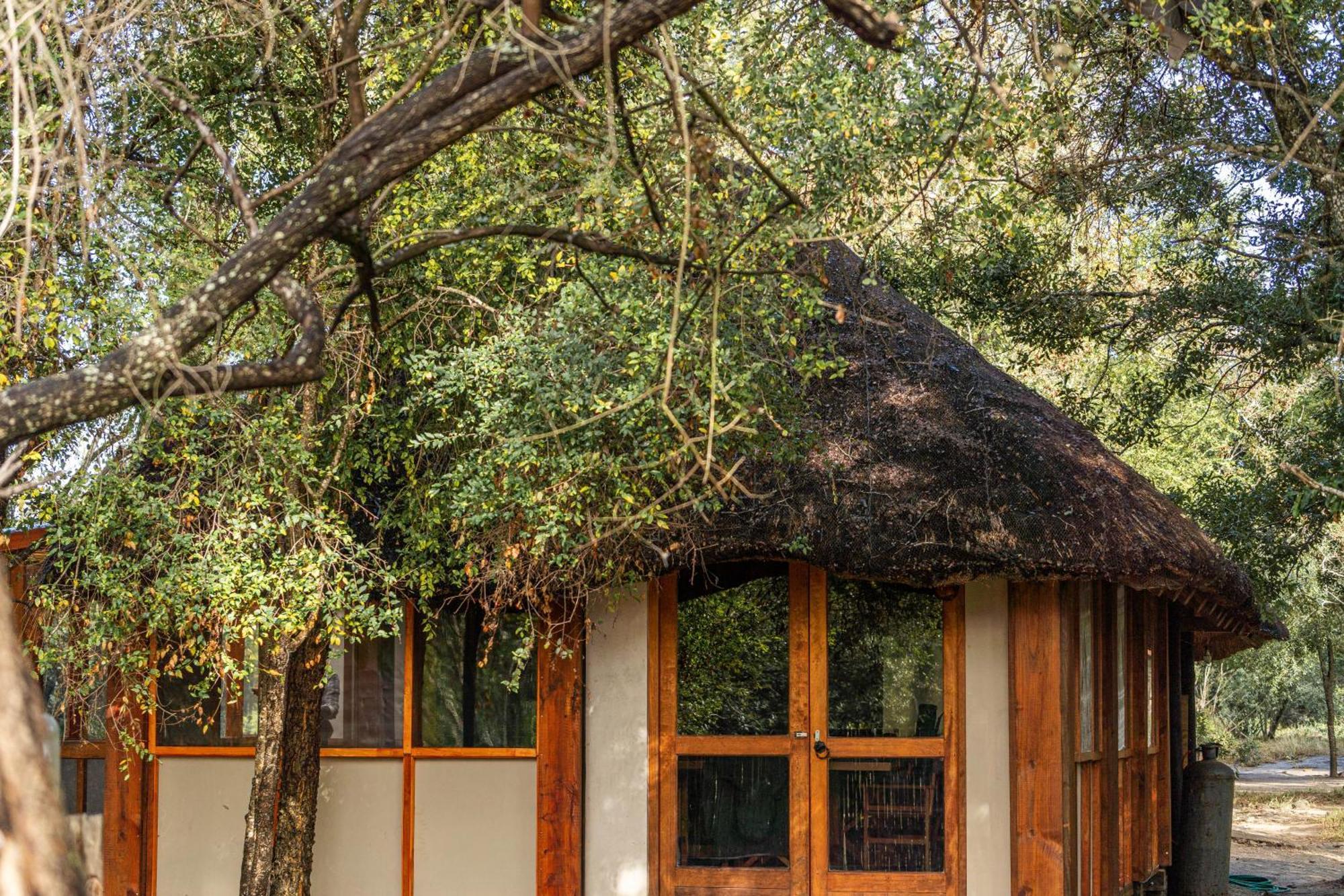 Ndzhaka Tented Camp Manyeleti Game Reserve Exterior photo